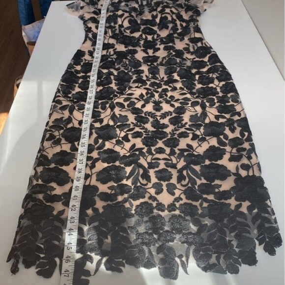 JS Collections Tan and Black Midi Dress - Picture 12 of 12